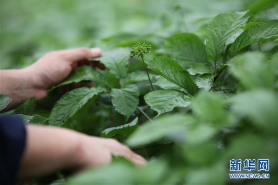 #����(j��ng)������3��ɽ�|�ĵǣ��������æ