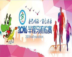 2016�갲������R����