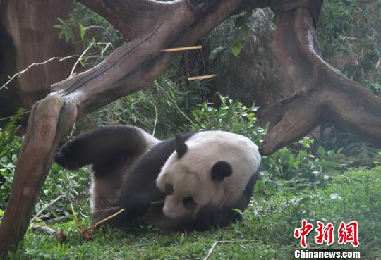 �D�顰�����������似��(c��)�L������������ �z