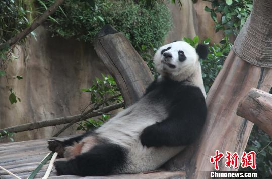 �D�顰���������ژ�����u������������ �z