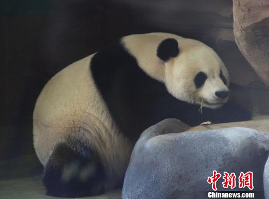 �D�顰���ա��ڴ��˯���������� �z