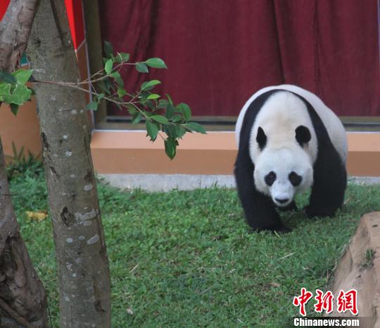 �D�顰������������ɢ������������ �z