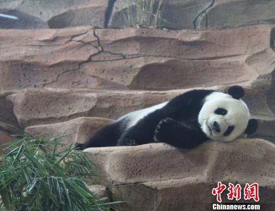 �D�鄂��ġ����ա����u������������ �z