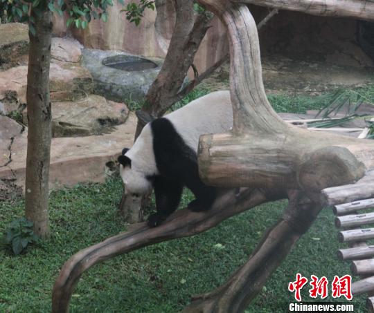 �D�顰�������ߡ���(d��)ľ������������ �z