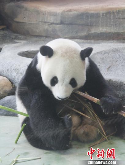 �D�顰���ա��ڳ��������������� �z