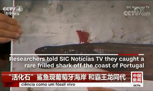 ���ʯ�����~(y��)�F(xi��n)���������� �Ͱ�����ͬ��