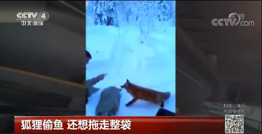 ��؂͵�~ ߀����������