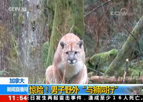 ���ô��@�U(xi��n)������Ұ�⡰�c�{ͬ�С�