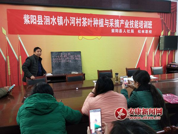 ����ˮ�(zh��n)�e�k���~�Nֲ�c��ժ������Ӗ(x��n)��