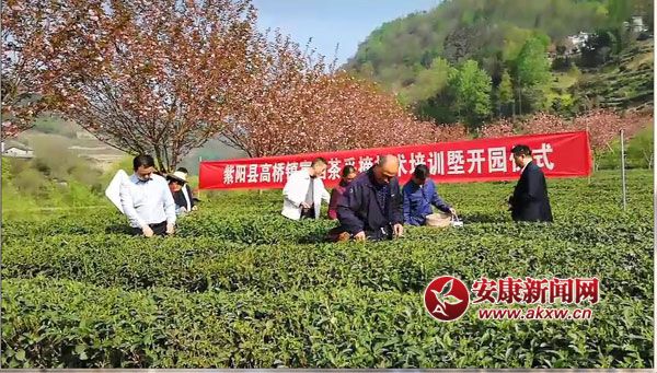 ��ꖸߘ��(zh��n)�����_������