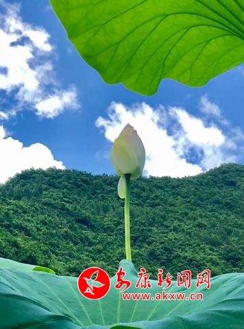 �{����С ΢�ňDƬ_20180723112425.jpg