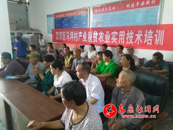 中原馬坪村產(chǎn)業(yè)技術(shù)培訓(xùn).jpg