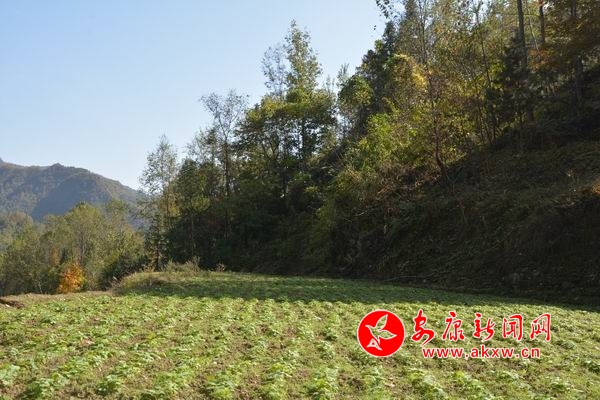 調整大小 DSC_7051.JPG