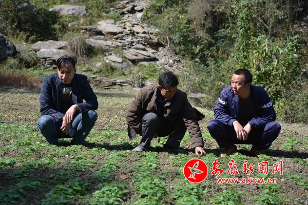 調整大小 DSC_7076.JPG