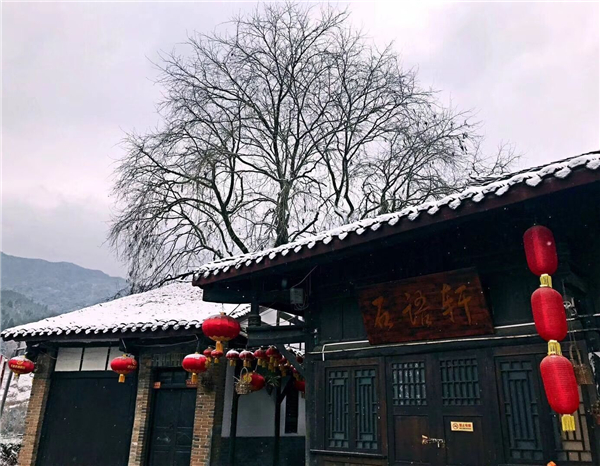 ������ѩ��  ���@���ѩ��