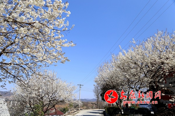 �����غ�֮������