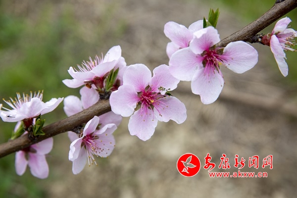 ��Ϫ�(zh��n)�P(p��n)���� �L(f��ng)���@߅��(d��)��