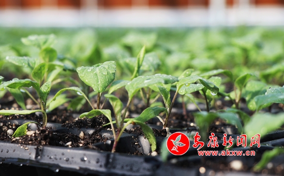 ��������(d��ng)�r(sh��)