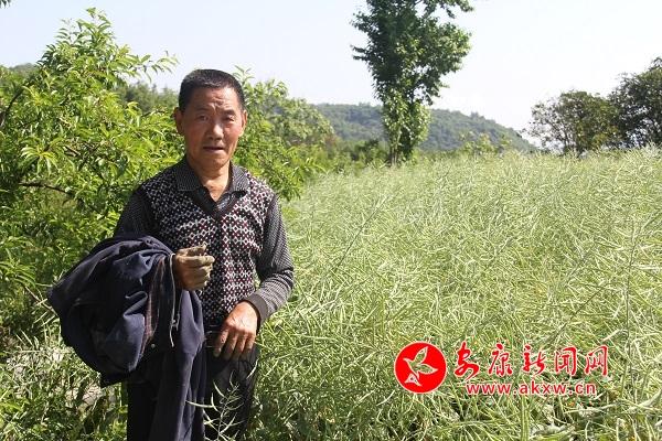 67�q�ď����F������(l��i)�����e(cu��)��������Ͳ������������f(shu��)��ȥ�����µ�600��߀�������������u(m��i)�������Լ��̓���������������̤��(sh��)