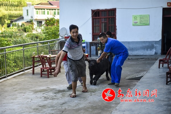 2019.7.28�p���Ҝ��������C(j��) 006-1.jpg