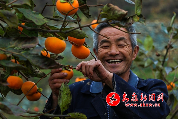 ������Ҋ(ji��n)���Ӽt