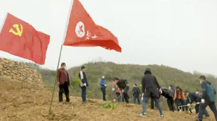 �h���S�L(f��ng)չ  �¾Gӭ����