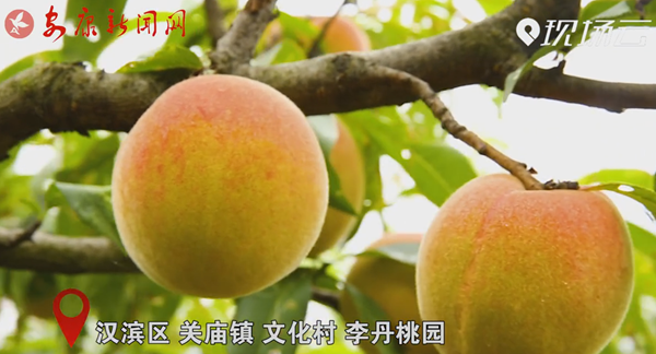 ҕ�� | ��҈@����������