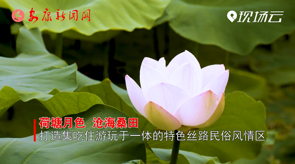 ҕ�����`�С���ɽ����Փ  ����(qi��ng)�h������