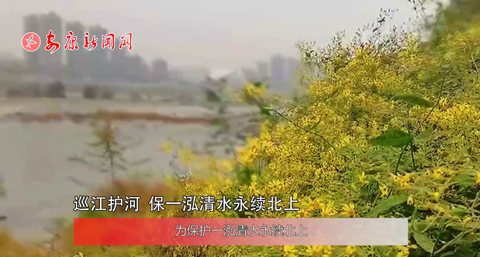 ҕ����Ѳ���o(h��)�� ��һ����ˮ���m(x��)����