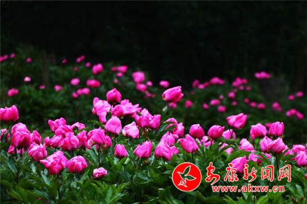 Ѯ�(y��ng)����ˎ���_(k��i)���Gɽ��