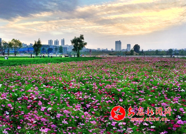 �����������ǖ|�^(q��)����ȥ