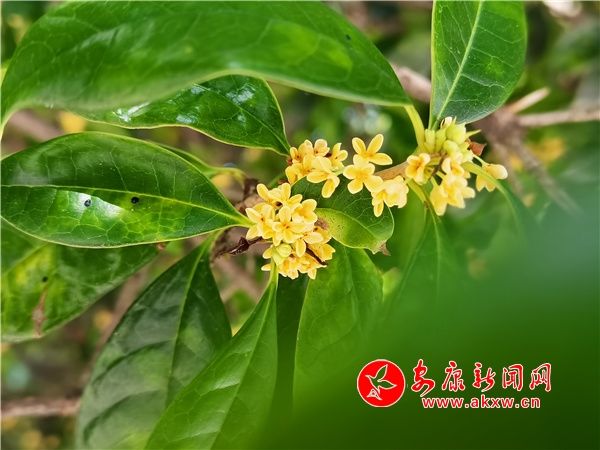 ���¹��h��r(sh��) ���˻�����M��