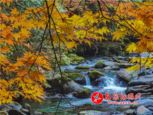 ����ǧ�Ӻ��ﾰ���箋(hu��)