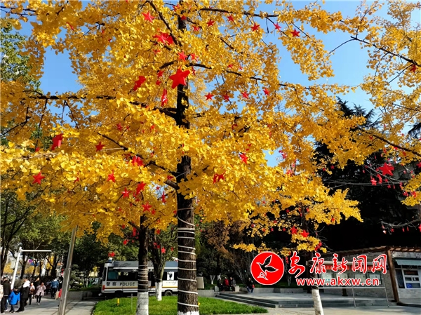 ����ů�(y��ng)�y�Ә�(sh��)