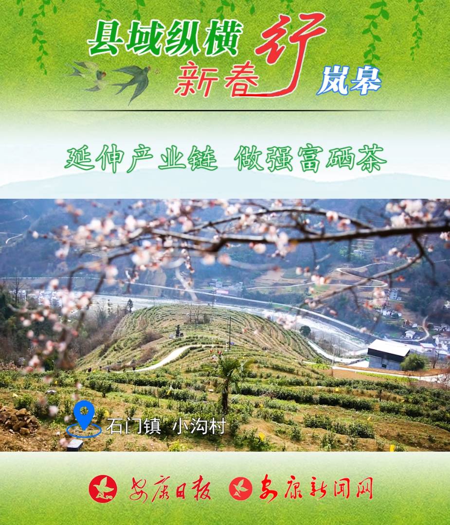 ����a�I(y��)� ����������