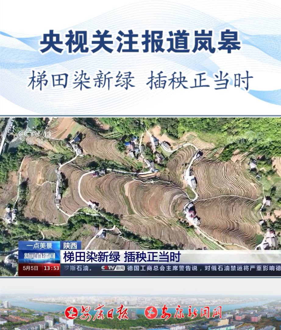 ��ҕ�P(gu��n)ע��(b��o)�����޿h�όmɽ�(zh��n)�𻨴塪��������Ⱦ�¾G ��������(d��ng)�r(sh��)����