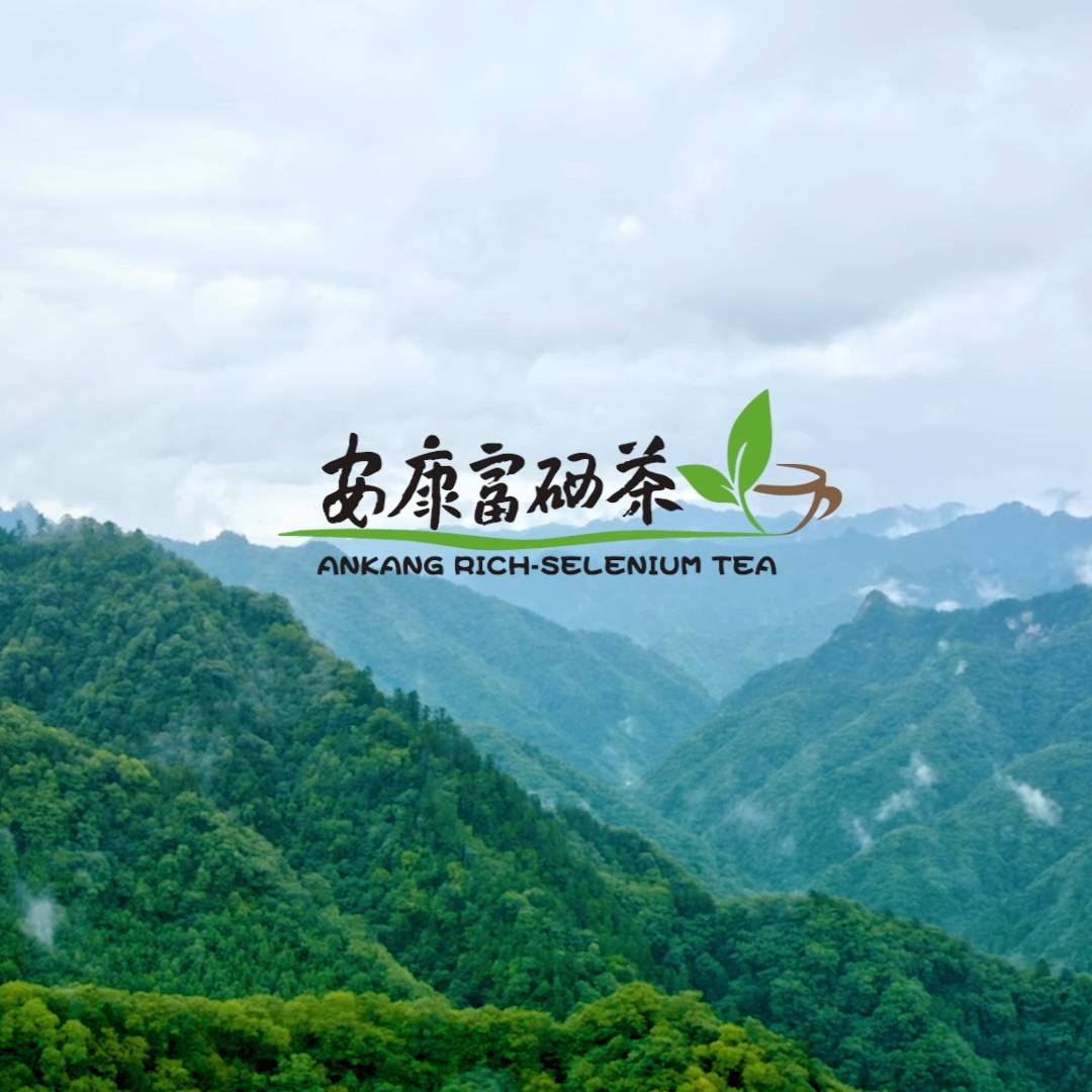 ��������������Ƭ��