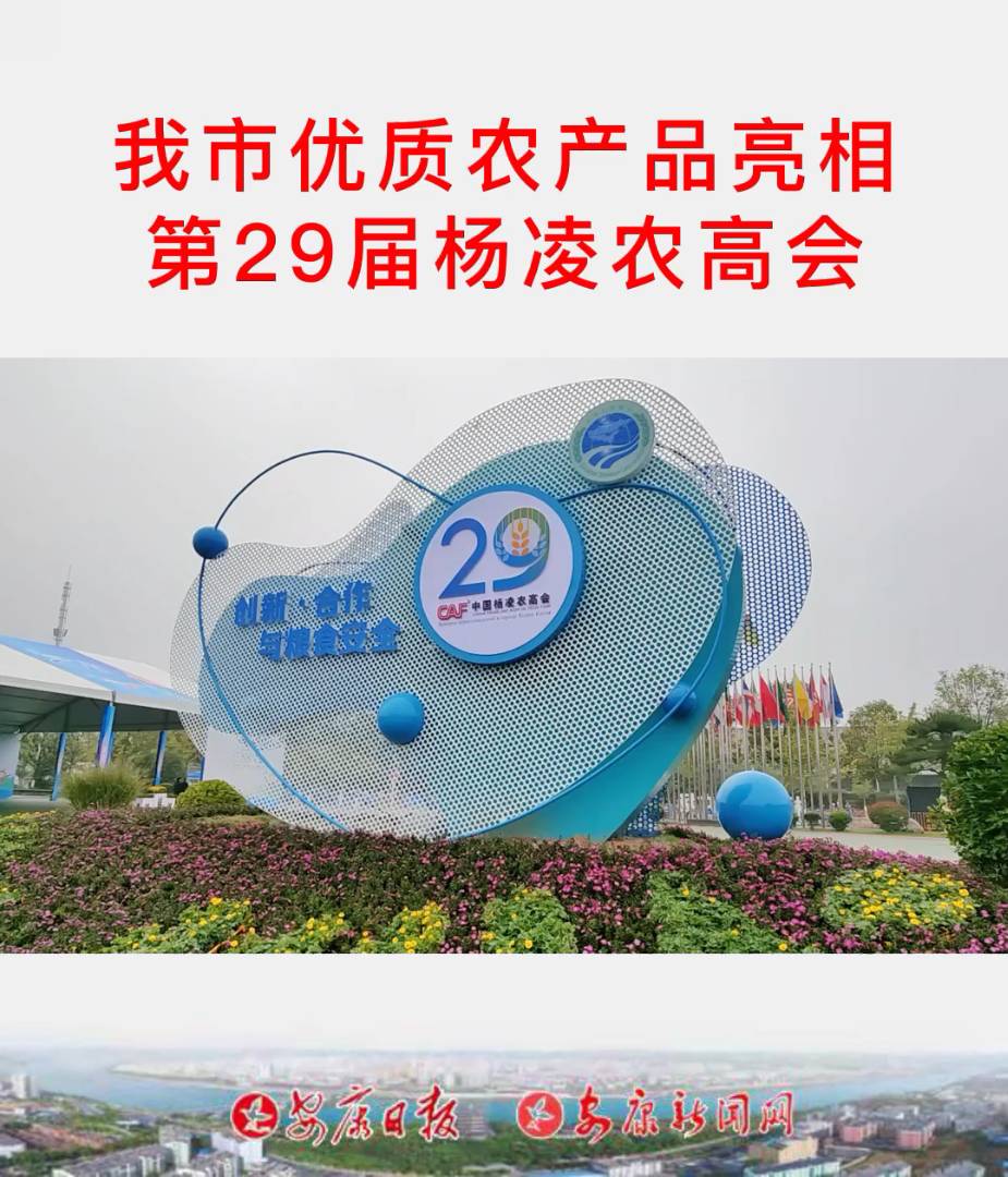 ���Ѓ�(y��u)�|(zh��)�r(n��ng)�a(ch��n)Ʒ�����29�×����r(n��ng)�ߕ�