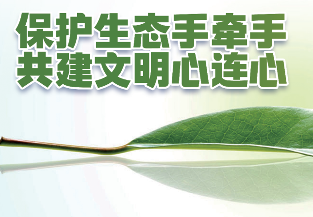 ���o(h��)���B(t��i)�֠��� �����������B��