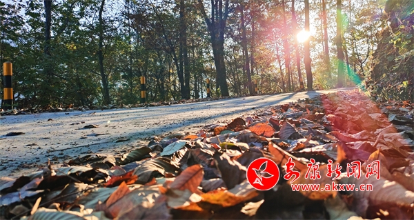 �Ͻ����ϴ��Ϫ