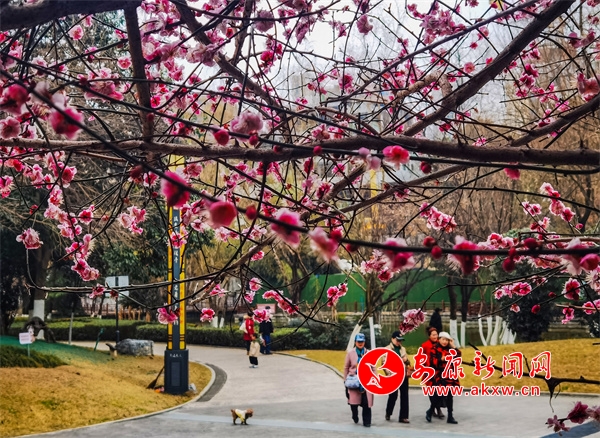 �����Ļ����@����(l��i)��