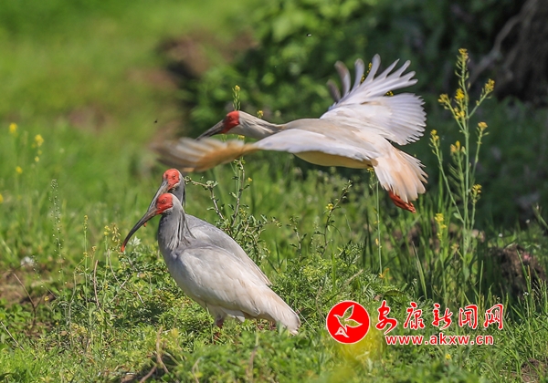 �hꎣ�ʢ�ĕr(sh��)��(ji��) ���q��߅�{���ґ�