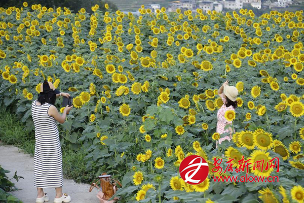 �Ϳ��������́�(l��i)