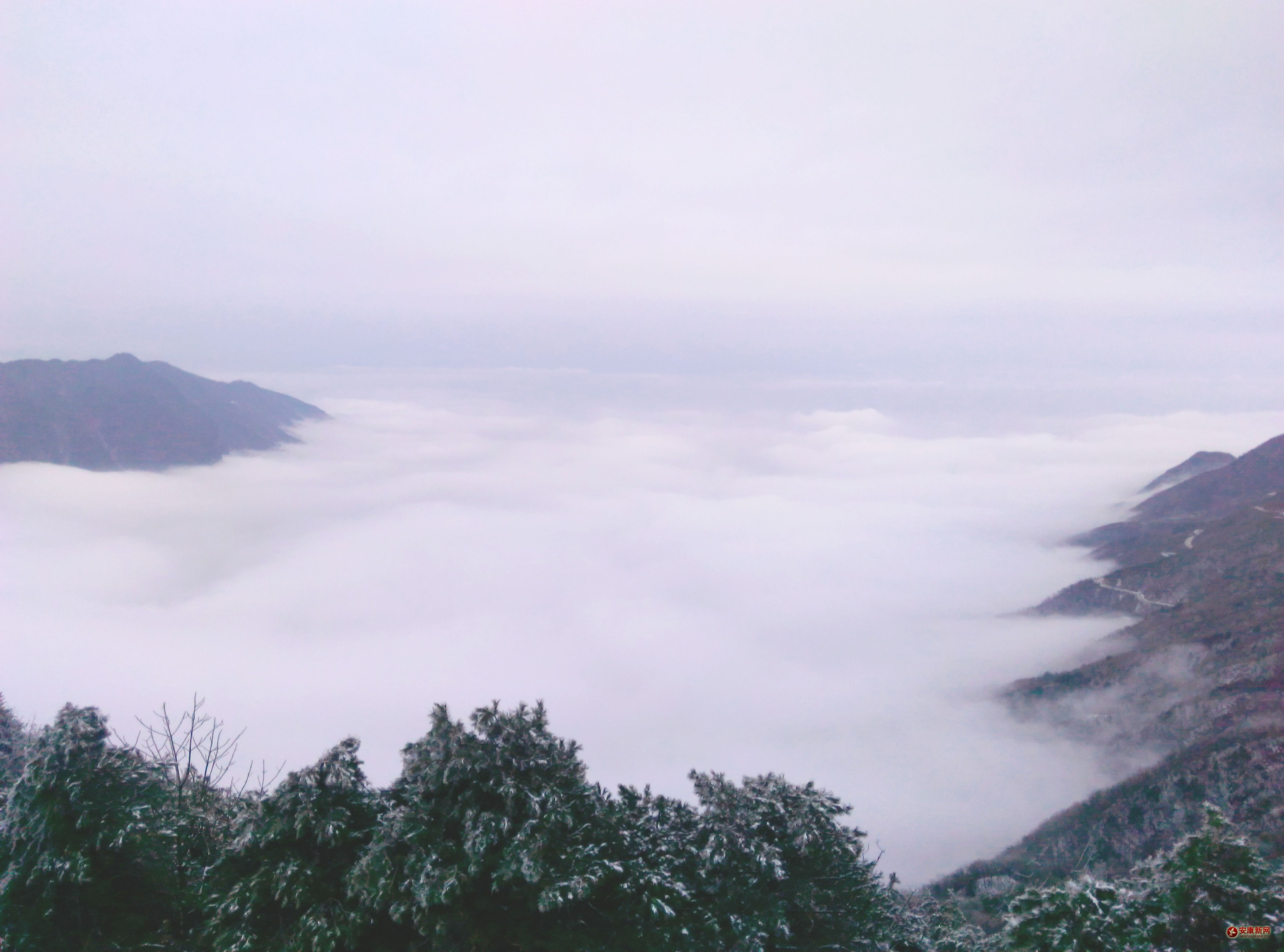 �L(f��ng)���ƺ�