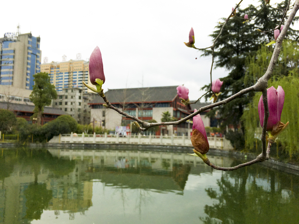 ����������������