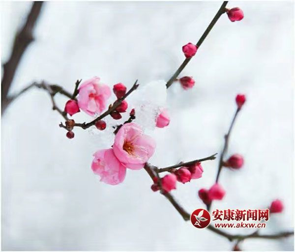 ���L(zh��ng)�L�w���������l(shu��)��һ���փɰ룿