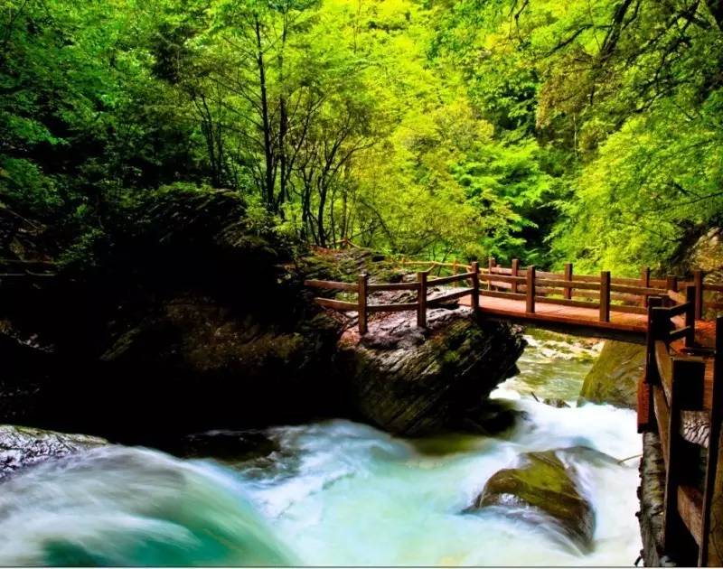 ���g�ɾ� ����{