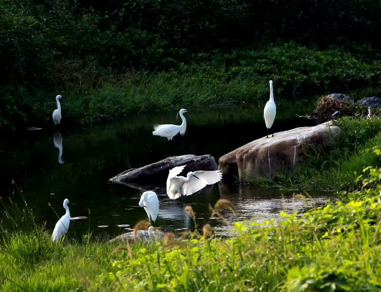 ��ɽ��ˮ���L(f��ng)��