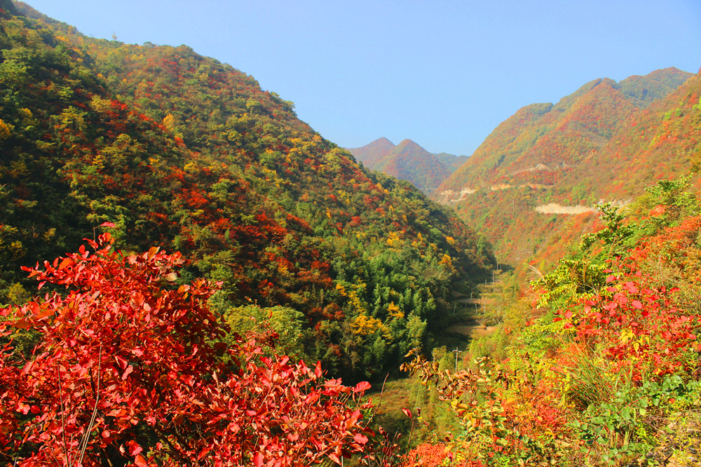 ����׌üt�~��(ji��)������