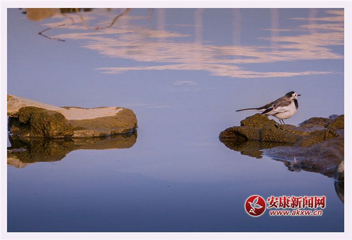 ��ˮ��һɫ���zӰ��Ƥ�¾S���f��������Ƭ��2017��12��3�������ʡ�����Нh�����Ĕz����չ�F(xi��n)�����õ����B(t��i)�h(hu��n)����(li��n)ϵ�Ԓ��